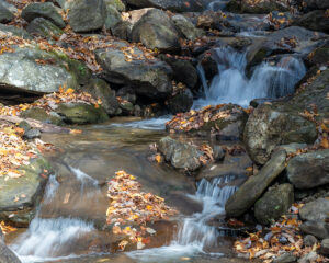 Amicalola Falls State Park