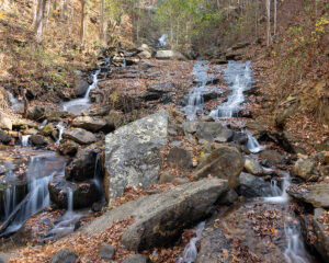 Amicalola Falls State Park
