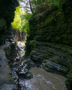 WatkinsGlen