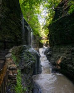WatkinsGlen
