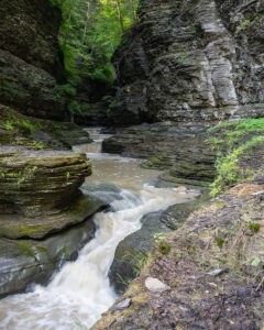 WatkinsGlen