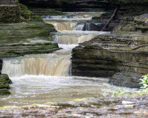 WatkinsGlen