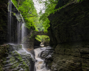 Watkins Glen