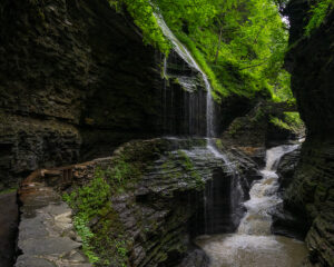 Watkins Glen