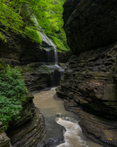 Watkins Glen