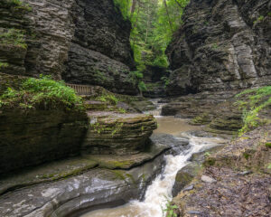 Watkins Glen