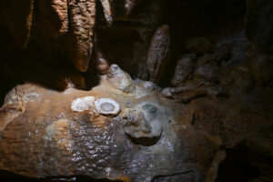 Luray Caverns, VA 12Feb2024