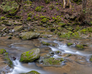 Natural Bridge, VA 02-11-2024