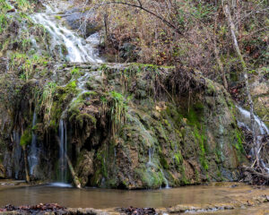 Natural Bridge, VA 02-11-2024